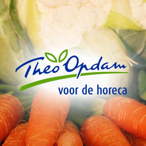 theo-opdam-website-voor-professionals.jpg